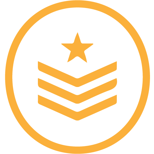 Veteran badge icon