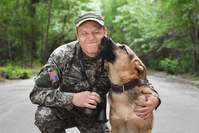 A veteran and his dog