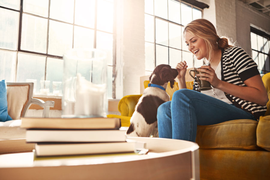 Happy woman sitting on couch playing with her dog