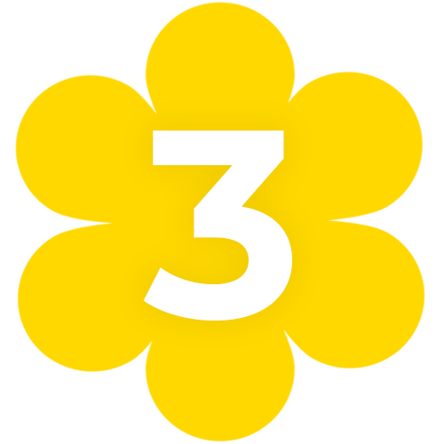 Yellow Flower icon with #3