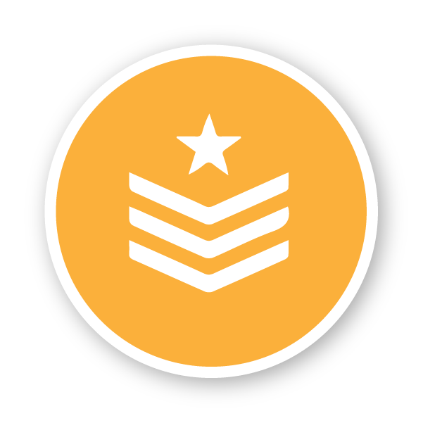 VA badge orange icon