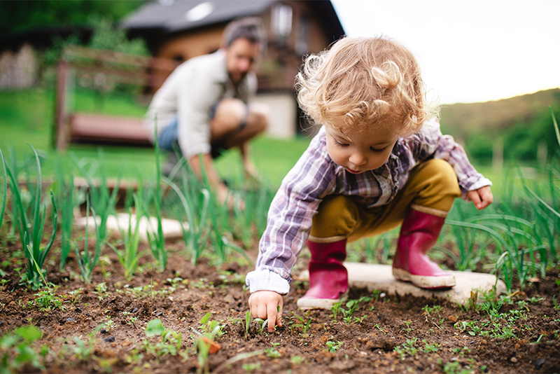 Young girl playing in garden with father in the background