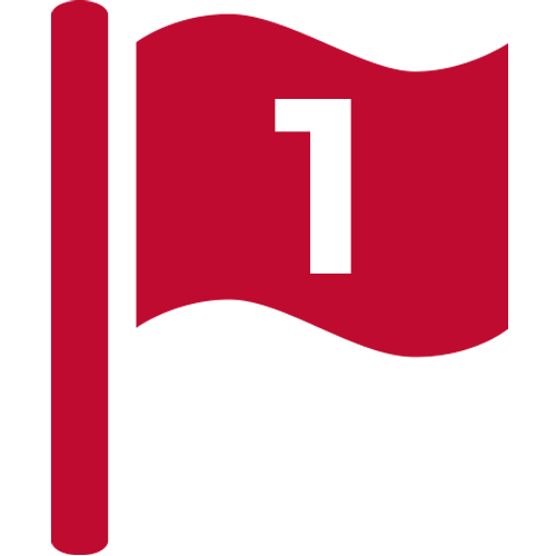 Flag icon with #1