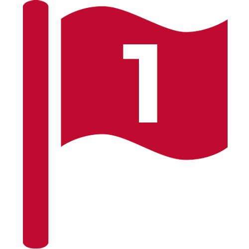 Flag Icon With #1