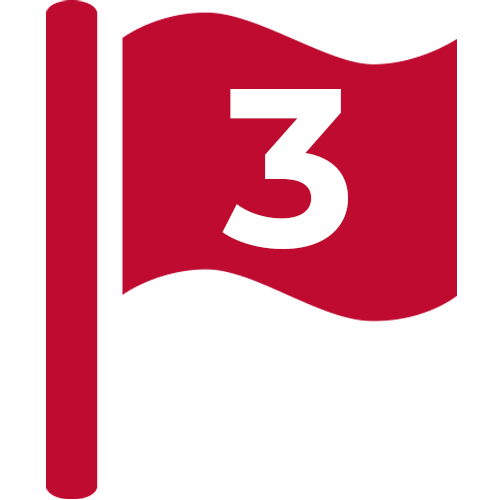 Flag Icon With #3