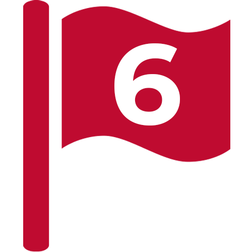 Flag Icon With #6