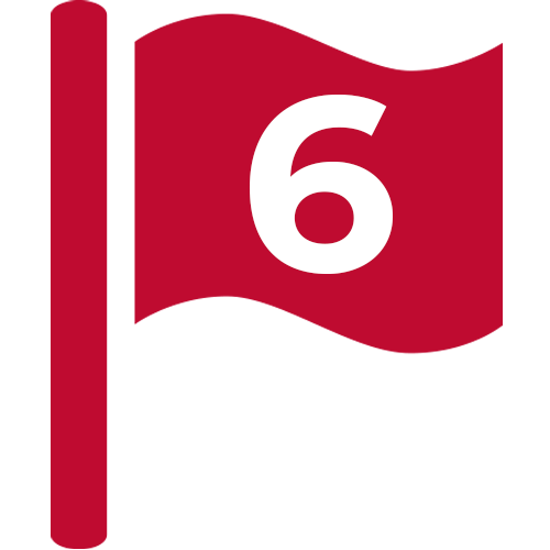 Flag icon with #6