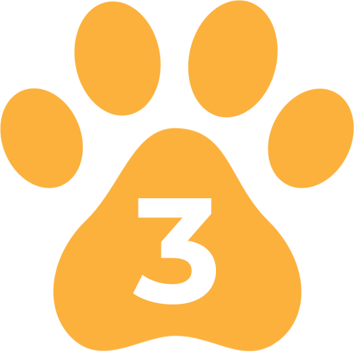 Dog Paw Icon With #3