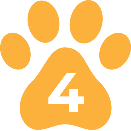 Paw icon with #4
