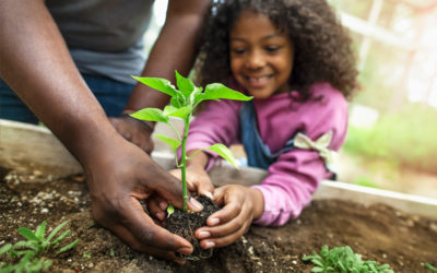 5 Ground-Breaking Earth Day Activities To Explore