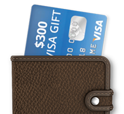 $300 Visa Gift Card In Wallet