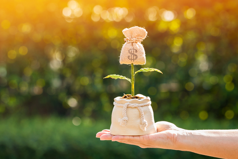 Woman hand holding a flower money bag on sunlight