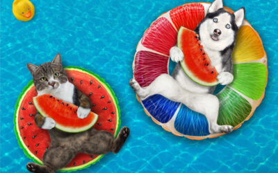 5 Helpful Tips To Keep Your Pets Cool This Summer