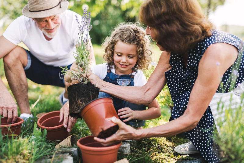 Happy grandparents gardening with grandaughter